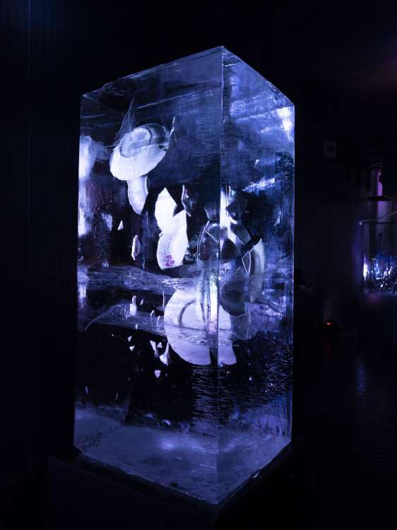 Ayten’den Kalanlar 1