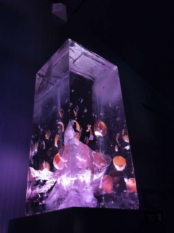 Vitrinden Dökülenler 2